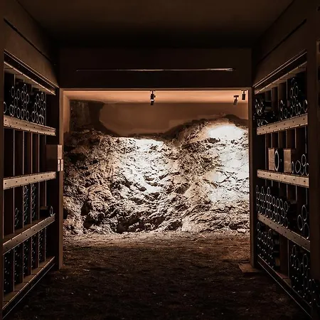 Hotel Almhof Schneider Lech