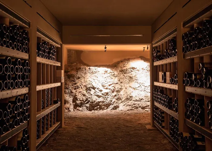 Almhof Schneider Hotel