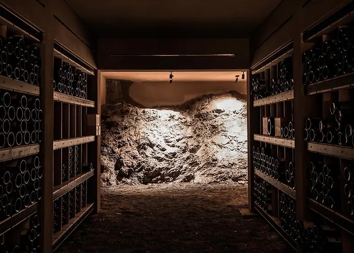 Hotel Almhof Schneider Lech am Arlberg